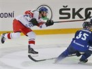 Michael Frolík stílí na braku Finska v utkání Carlson Hockey Games v Brn.