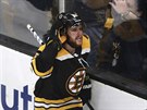 David Pastrňák oslavuje s fanoušky Boston Bruins svůj vítězný gól.