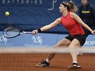 eská tenistka Karolína Muchová na turnaji v Praze