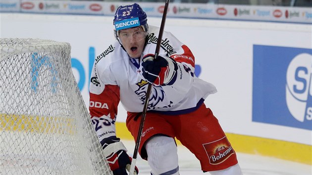 esk hokejista Dmitrij Jakin se raduje z trefy v duelu eskch her proti vdsku.