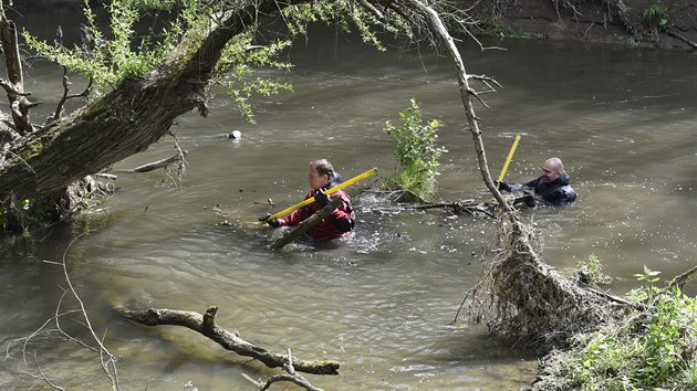 Policejní potápěči a hasiči prohledávali koryto a břehy řeky Olšavy při pátrání po pohřešovaném tříletém chlapci z obce Podolí na Uherskohradišťsku. (1. 5. 2019)