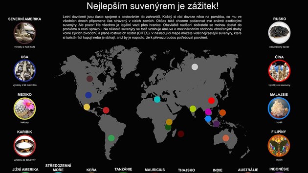 Vstava Ukraden divoina v Brn upozoruje na zbyten umrn ohroench zvat kvli komerci.