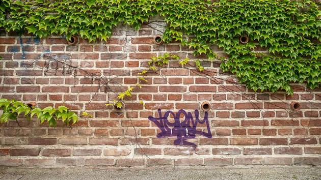 Neznm vandal posprejoval v Hradci Krlov jin terasy a dal ulice v historickm centru msta.