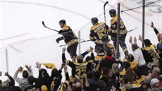 David Pastrák oslavuje s fanouky Boston Bruins svj gól.