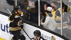 David Pastrák oslavuje s fanouky Boston Bruins svj vítzný gól.