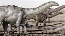 Stádo brontosaur na pochodu. Tito obí sauropodi se zejm sdruovali do...