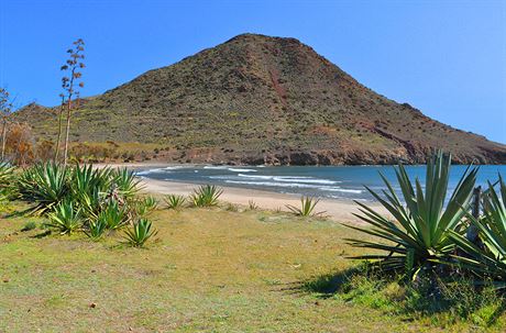 Playa de los Genoveses se nachz v oblasti Almera na jihu panlska.