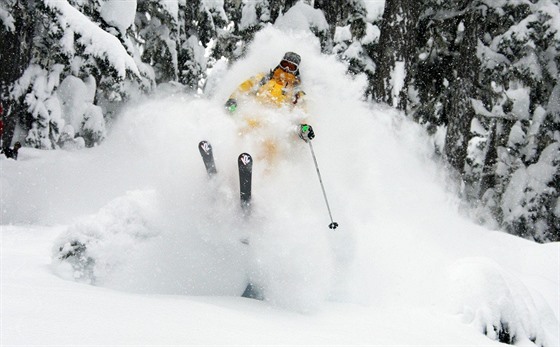 Heliskiing (ilustraní snímek)