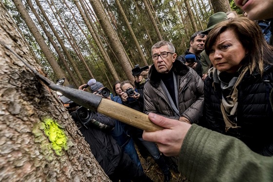 Tohle je nakaený strom? To ani nejde poznat, diví se premiér Andrej Babi....