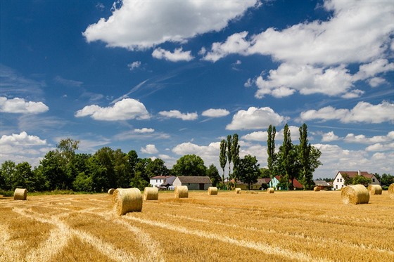 V Česku se zemědělsky hospodaří na více než polovině rozlohy. Kvůli přehnanému...