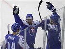 Sloventí hokejisté se radují z trefy v duelu s Finskem.
