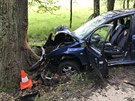 Řidič na silnici mezi obcemi Nákří a Strachovice narazil do stromu. Byl na...