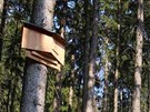 Ve Slavkovském lese se testuje budka k ochran netopýr, kterou navrhl student...
