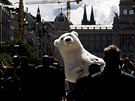 Kostým ledního medvěda na Václavském náměstí. (10. 5. 2019)