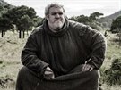 Postavu Hodora si v seriálu Hra o trny zahrál britský herec Kristian Nairn.