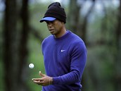 Tiger Woods pi trninkovm kole na hiti Bethpage Black ped major turnajem...