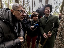 Andrej Babi a Alena Schillerová naslouchají v krovcem ohroeném lese na...