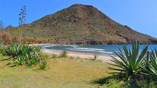 Playa de los Genoveses se nachz v oblasti Almera na jihu panlska.