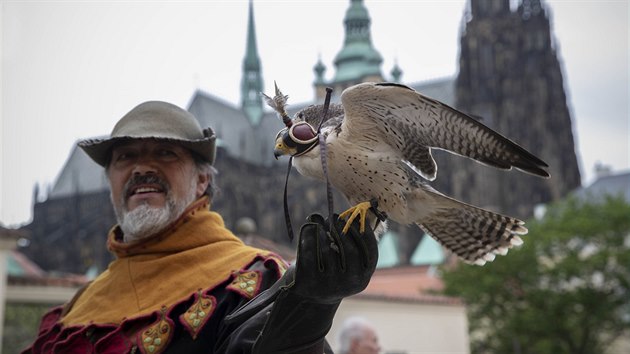 V Krlovsk zahrad po cel den probhala vystoupen stedovkch sokolnk s dravmi ptky a psy. (11. kvtna 2019)