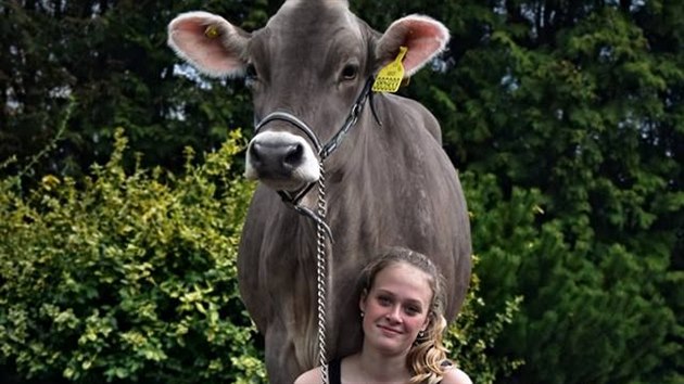 Sv krvy vysl na brnnskou Nrodn vstavu hospodskch zvat tak Stedn kola zemdlsk a veterinrn v Lankroun.