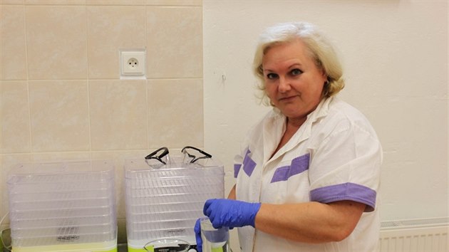 �Zdravotnictv� bych asi neopustila, kdybych nem�la nucenou zdravotn� p�est�vku.�