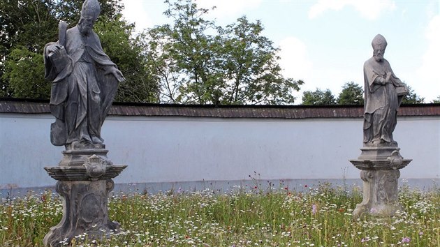 Tak jako vykvetlá tráva na Dolním hřbitově ve Žďáře nad Sázavou, mohou postupně vypadat i další lokality ve městech.