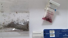 Celní kontrola na chebské pot odhalila v zásilkách z Amsterdamu drogy.