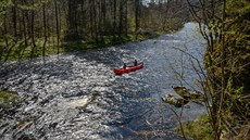 Lesnaté údolí horní Otavy