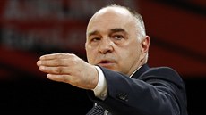 Pablo Laso, trenér Realu Madrid