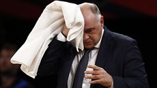 Pablo Laso, trenér Realu Madrid