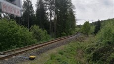 Vlak tlail auto desítky metr od pejezdu.