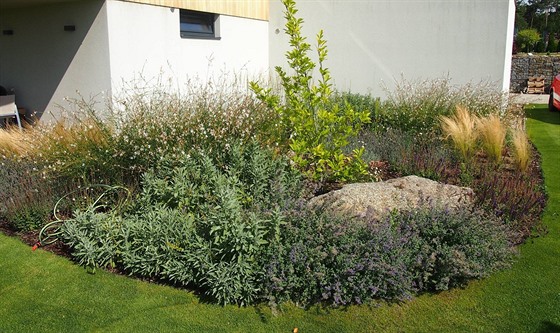 Na kadé zahrad lze skloubit upravený trávník s prvky vhodnými pro hmyz a...