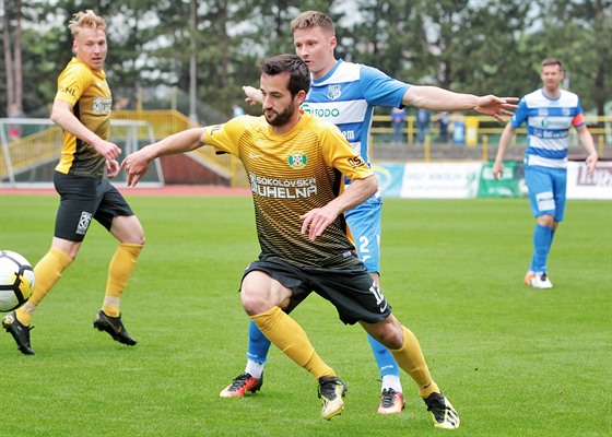 David típek ze Sokolova (vpedu) bhem zápasu proti Ústí nad Labem.