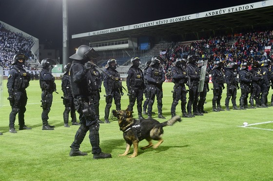 Policejní tkoodnci na trávníku olomouckého stadionu po finále fotbalového...