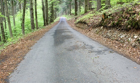 Pokud vyfrézovaný asfalt neprojde testem, musí skončit na speciální skládce. (ilustrační snímek)