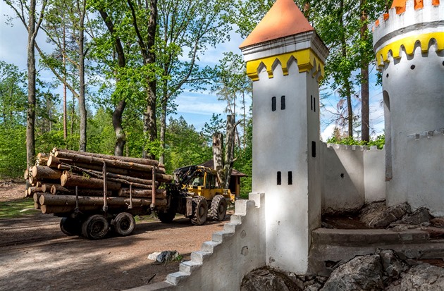 Koií hrádek u není obklopen stromy.