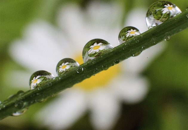 Začíná týden nadprůměrného tepla, zítra zaprší, pak přijdou příjemné dvacítky