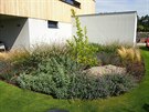 Na kadé zahrad lze skloubit upravený trávník s prvky vhodnými pro hmyz a...