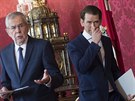 Rakouský prezident je pro to, aby se pedasné parlamentní volby konaly v zemi...