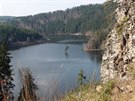 Příběh 350 let staré borovice, která je dominantou Vírské přehrady, porotu...