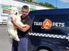 Pavel rotý vozí zvíecí taxislubou nejastji psy. U nás i po celé Evrop.