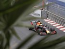 Max Verstappen v tréninku na Velkou cenu Monaka.