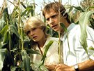 Veronika Kánská a Pavel Kikinuk ve filmu Slunce, seno, jahody (1983)