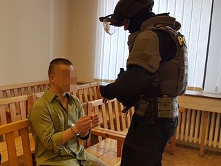 Davida K. přivedli ke Krajskému soudu v Plzni policisté ze zásahové jednotky....