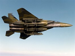 Při vývoji dvoumístného „bombardéru“ F-15E Strike Eagle vznikl nejprve...