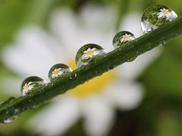 Ilustra�ní snímek