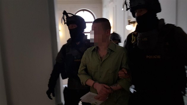 Davida K. pivedli ke Krajskmu soudu v Plzni policist ze zsahov jednotky. (23. 5. 2019)