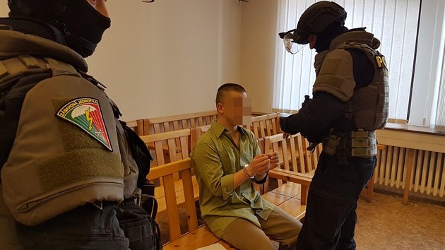 Davida K. pivedli ke Krajskmu soudu v Plzni policist ze zsahov jednotky. (23. 5. 2019)