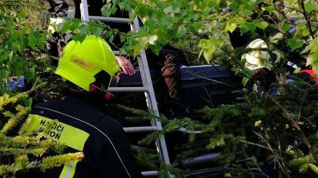 idii kody Fabie vjel pi havrii do nzkho lesnho porostu. Pevrcen auto nebylo ze silnice vbec vidt. (25. 5. 2019)