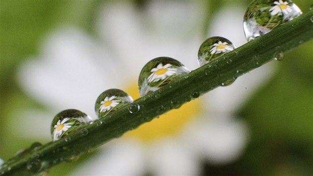 Začíná týden nadprůměrného tepla, zítra zaprší, pak přijdou příjemné dvacítky